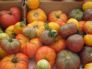 F40 Heirloom Tomatoes