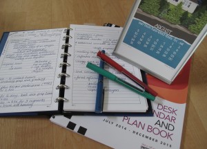 Diaries Website