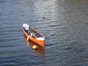 Boat and Duck Website