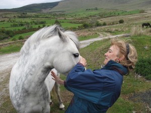 Coumaraglin Horse Web