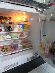 Fridge 1