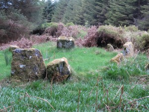 Toureen Stone Circle Web