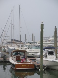 Maine Harbor Web