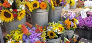 Fall Flowers (Denver Farmer's Market)