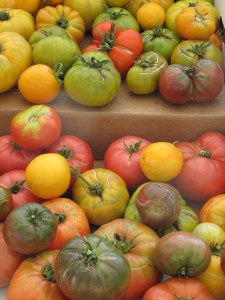 Farmers Mkt Tomatoes Web